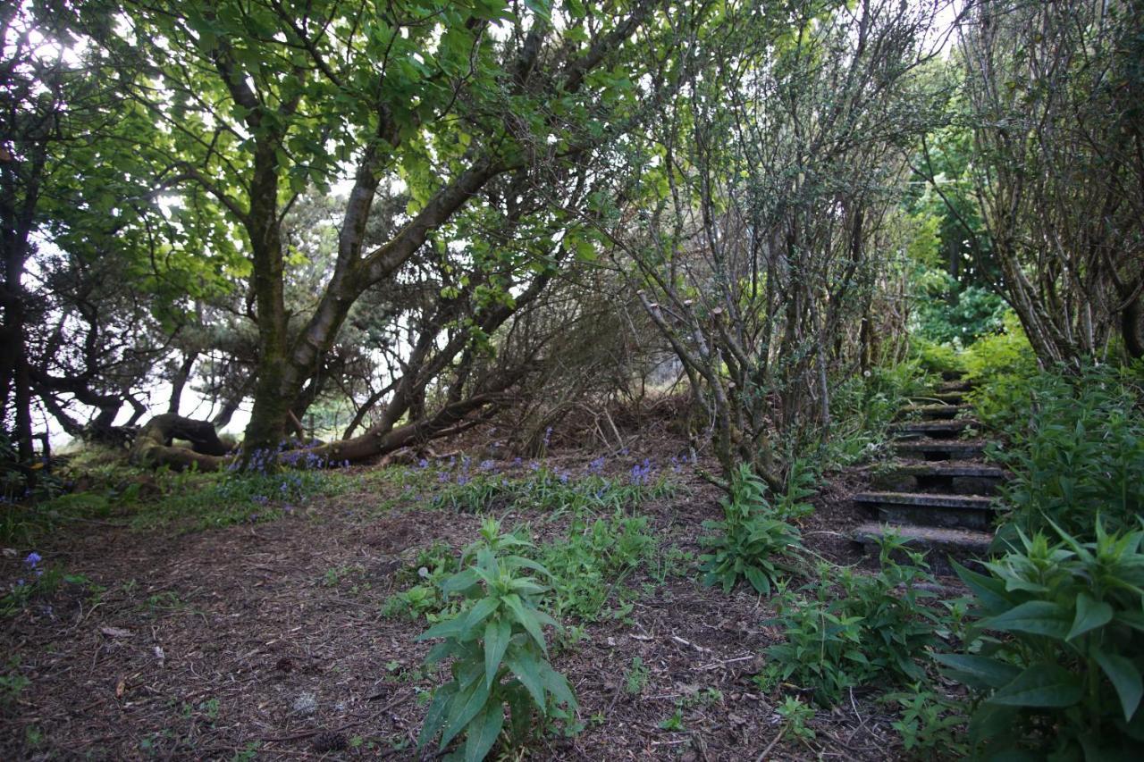 Remuera, North Tolsta Villa Buitenkant foto