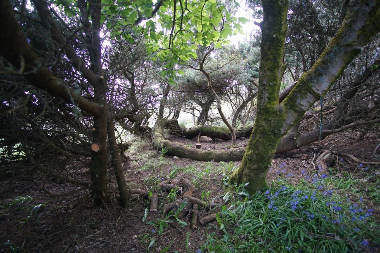 Remuera, North Tolsta Villa Buitenkant foto